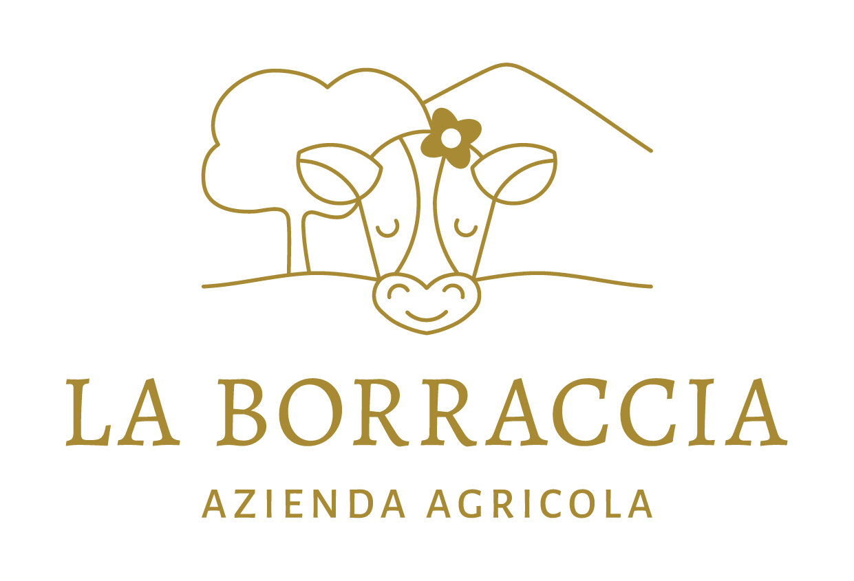 Logo azienda agricola La Borraccia variante principale colore oro